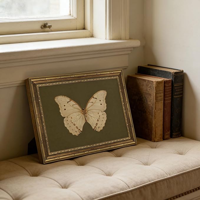 Vintage Gold Framed Wall Art Classical White Butterfly Wall Art Small Moody Insect Green Wall Decor Picture Antique Cottagecore Moth Gallery Aesthetic Poster Print for Living Room Bedroom 12x16in