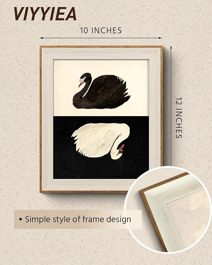 VIYYIEA Framed Wall Art for Living Room, Swan Canvas Prints, Vintage Home Decor, Animals Painting Picture, Bathroom Wall Decor Gifts for Friends or Family - 12L x 10W