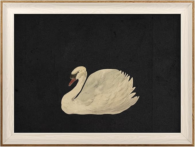 VIYYIEA Framed Wall Art for Living Room, Swan Art Canvas Prints, Vintage Home Decor, Animals Painting Picture, Bathroom Wall Decor Gifts for Friends or Family - 16L x 12W