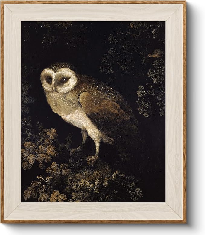 VIYYIEA Framed Wall Art for Living Room, Owl Canvas Prints, Vintage Home Decor, Animals Painting Picture, Bathroom Wall Decor Gifts for Friends or Family - 12L x 10W