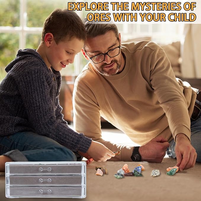 Rock Collection Box for Kids - Display Case for Collectibles - Storage and Display Shelf - Generation 2