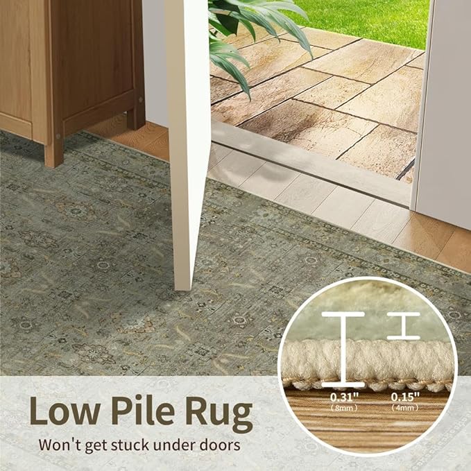 Rugxara Entryway Rug Door Mat, Washable Samll 2x3 Rug, Boho Front Door Mat, Non Slip Area Rugs, Low Pile Throw Accent Entry Carpet for Indoor Entrance, Bathroom and Kitchen(Olive/Brown 2x3ft)
