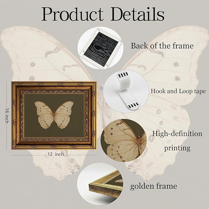 Vintage Gold Framed Wall Art Classical White Butterfly Wall Art Small Moody Insect Green Wall Decor Picture Antique Cottagecore Moth Gallery Aesthetic Poster Print for Living Room Bedroom 12x16in