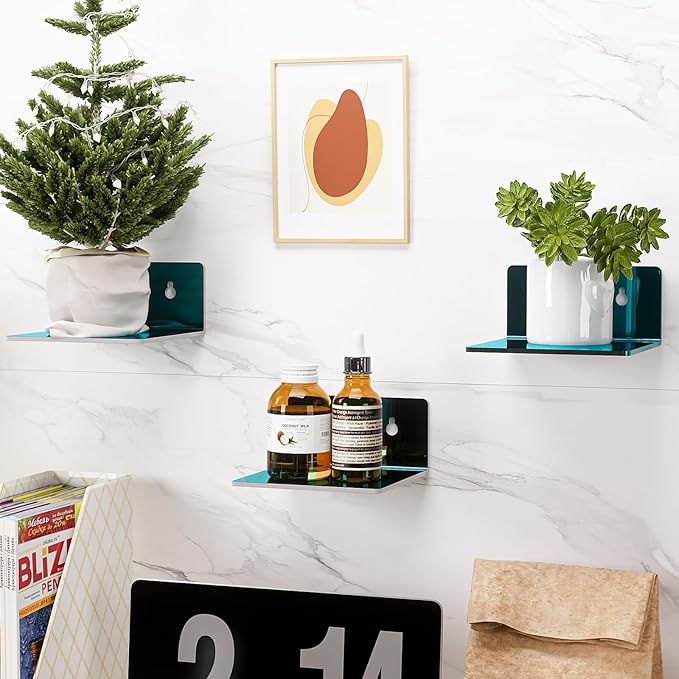 Acrylic Wall Shelves,Clear 4 inch Floating Shelves for Display,Ledges Pop Figures,Plant,Tiny Wall Mounted Transparent Shelf Small Invisible Shelves with Adhesive for Bedroom Living Room Decoration