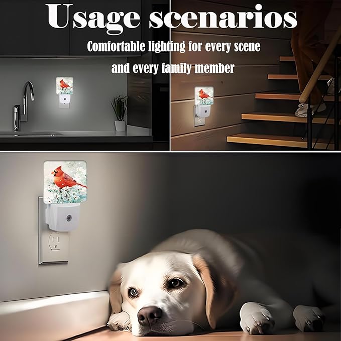 Winter Cardinal Bird Night Light,Plug Into Wall for Boys Girls Bedroom Decorative Square Night Light Lamp 0.5w Sleep Friendly
