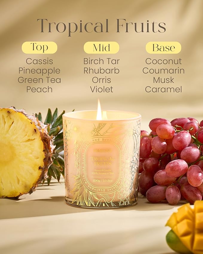 M&SENSE Fruit Party Scented Candle, Clean-Burning Soy Wax Candles for Home Scented, Berry Citrus Burst for Home Fragrance, 55 Hour Long Burning 10.3oz, Party Romantic Home Decor for Womens