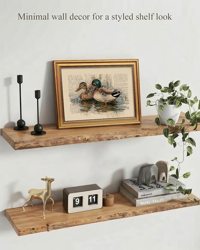 InSimSea Gold Framed Canvas Prints Wall Art, Vintage Nursery Decor, Mallard Duck Animals Paintings Farmhouse Wall Decor, Antique Pictures for Bedroom Living Room Shelf Gift, 12x16inch