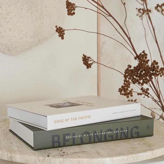 Beautiful Decorative Books - Set of 2 Boxes Enhance Your Coffee Table, Bookshelf or Mantel Shelf Decor - Aesthetic Fake/Faux Books for Modern Home Decoration, Photo Storage and as a Keepsake Box