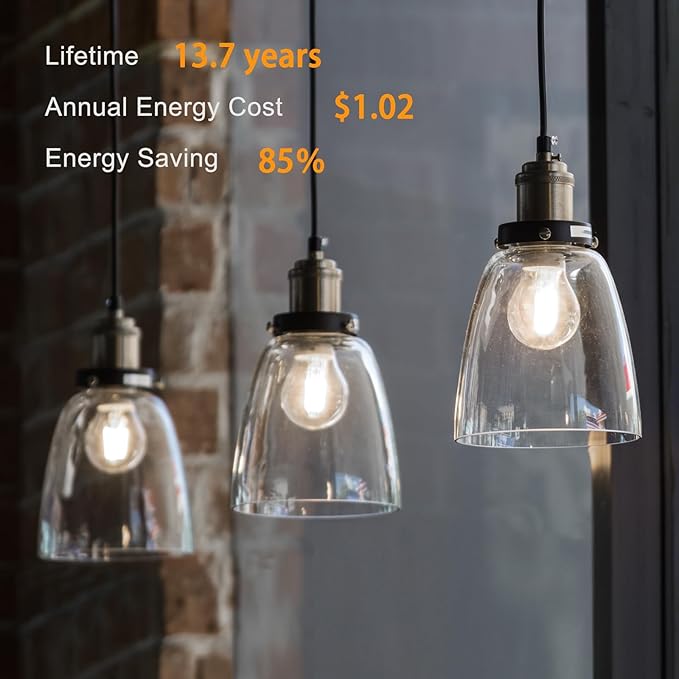 TJOY 24 Pack A19 Vintage LED Edison Bulbs, Dimmable, 60W Equivalent, High Brightness 5000K Daylight, Ultra-Bright, E26 Standard Base, 800 Lumens, CRI80+, Clear Glass Filament Bulb for Home