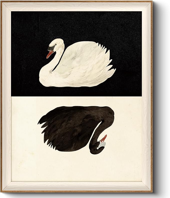 VIYYIEA Framed Wall Art for Living Room, Swan Canvas Prints, Vintage Home Decor, Animals Painting Picture, Bathroom Wall Decor Gifts for Friends or Family - 20L x 16W