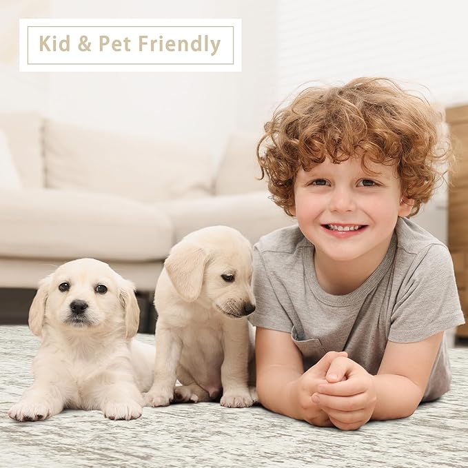 Srugn Washable Rugs 3x5 Area Rugs for Living Room,Bedroom- Non Slip Vintage Entryway Rug for Indoor Entry,Kitchen,Bathroom,Kids Girls Room,Home,Office,Ultra Soft Faux Wool Laundry Room Small Carpets