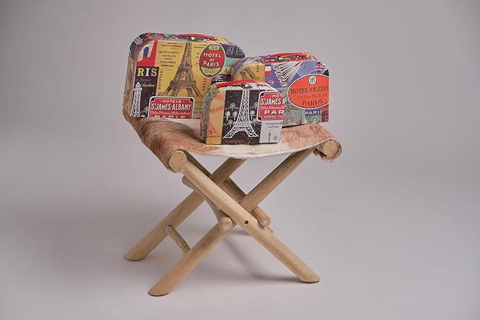 wald imports - Set of 3 Paperboard Suitcases -Decorative Storage Boxes - Suitcase Set for Decoration, Storage, and More (Parisian Adorned)