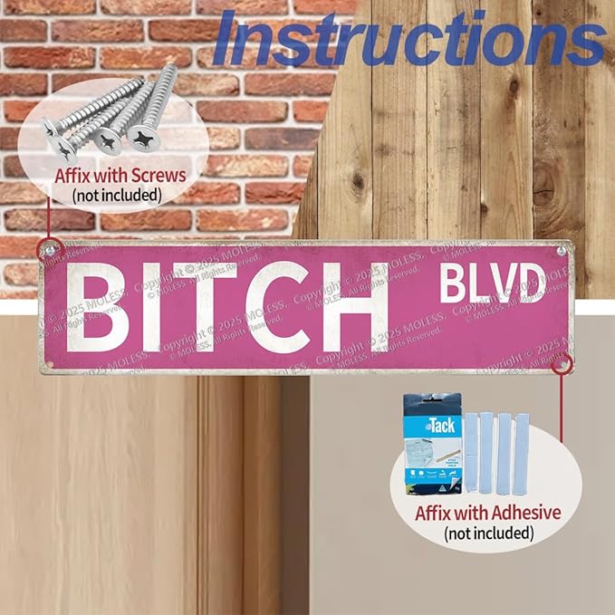 "Bitch Blvd" Pink Wall Decor Aesthetic – 16x4″ Sassy Street Signs for Bedroom | Metal Y2K Posters Decorations for Downtown Girl Room Girly Bedroom Teen College Dorm, 2367