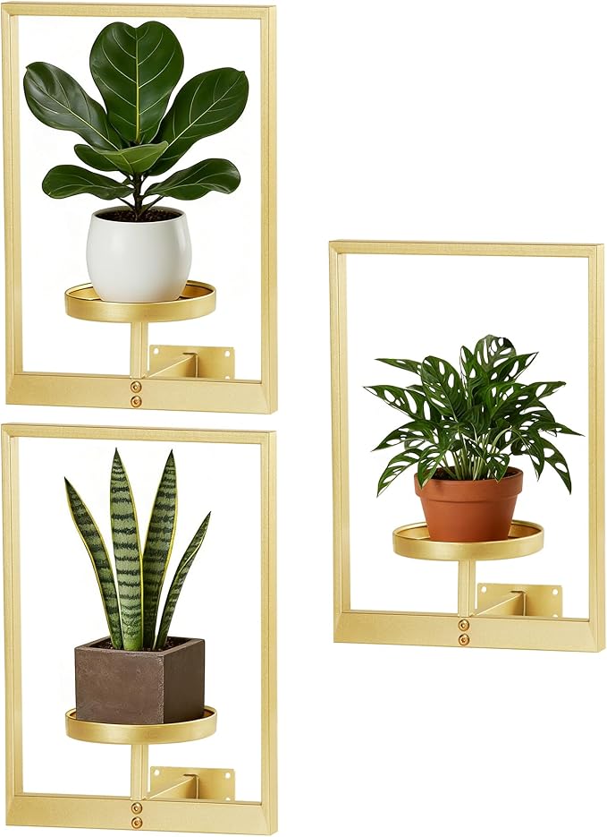 Wall Planters for Indoor & Outdoor Plants, 3-Pack Gold Metal Hanging Plant Stands, Plant Hanger Window Plant Shelves for Living Room Entryway Patio - Wall Plant Holder Decor