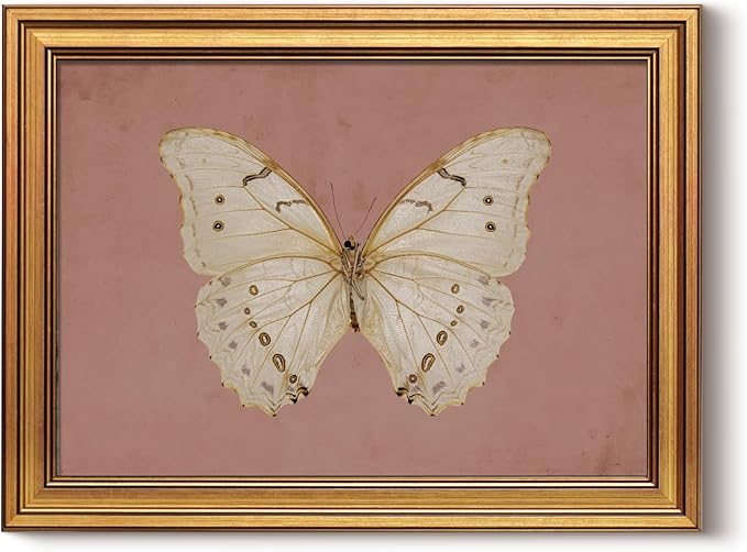 InSimSea Gold Framed Canvas Prints Wall Art, Vintage Bathroom Decor, Classical Moody White Butterfly Paintings Farmhouse Wall Decor Aesthetic, Retro Pictures for Bedroom Living Room Shelf, 12x16inch