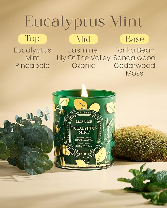 M&SENSE Eucalyptus Mint Scented Candle, Non-Toxic Soy Wax Natural Candles, 55 Hours Long Burning 10.3oz, Calm Aromatherapy Home Fragrance Home Decor, Self-Care Gifts for Women