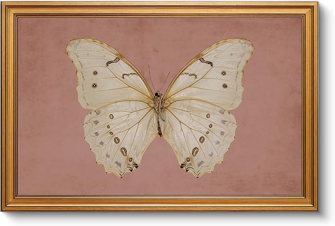 InSimSea Gold Framed Canvas Prints Wall Art, Vintage Bathroom Decor, Moody White Butterfly Paintings Farmhouse Large Wall Decor Aesthetic, Retro Pictures for Bedroom Living Room, 16x24inch