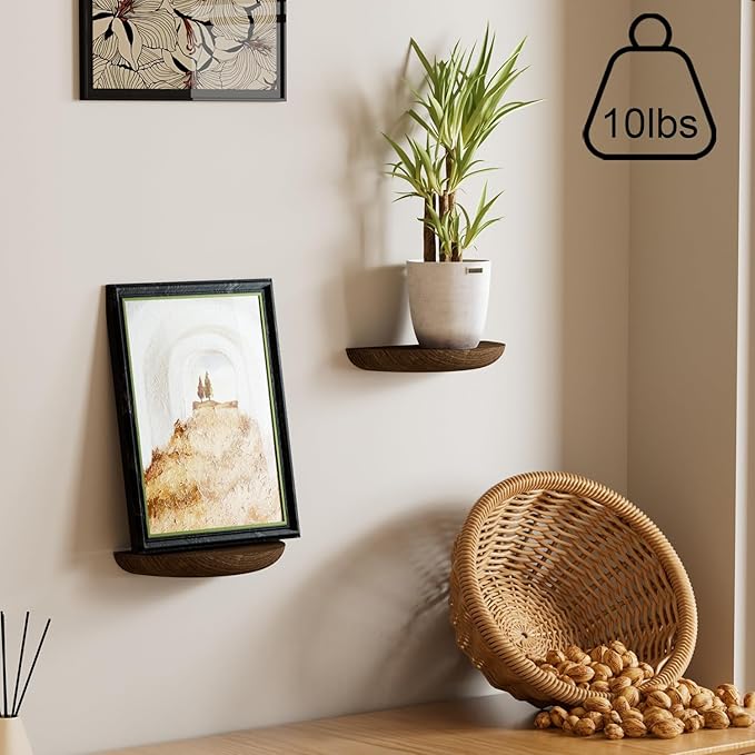 QsQueen Solid Wood Half Round Floating Wall Shelves | Elegant Floating Shelves, Elevate Your Space. Perfect for Living Rooms, Bathrooms, Bedrooms, Offices, Children's Rooms