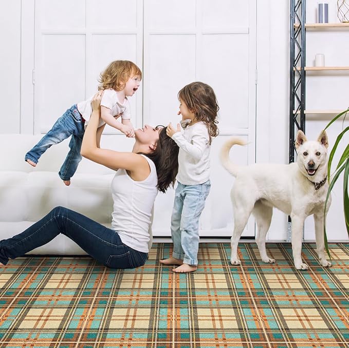 Ruaruarug Area Rug Non Slip Machine Washable Ultra Soft Living Room/Bedroom/Kitchen/Outdoor/Classroom Plaid, 8'×10'