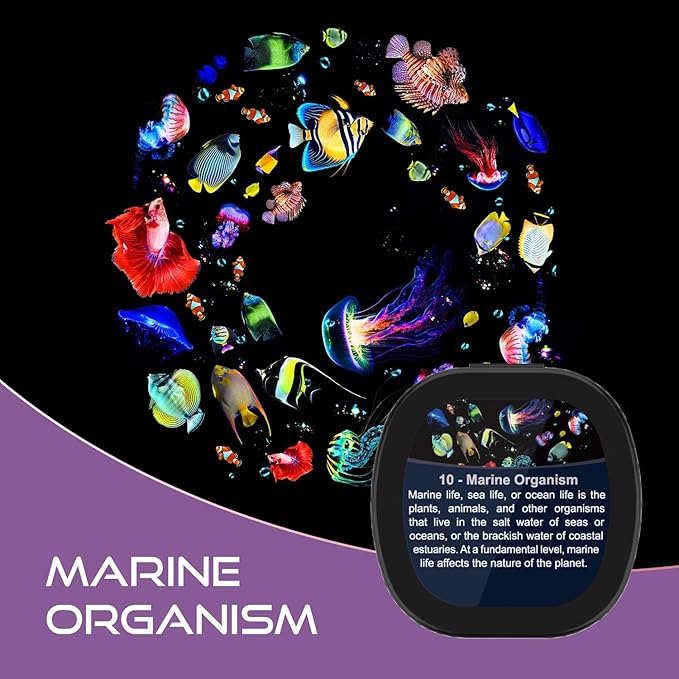 Set of 6 Replaceable Galaxy Projector Discs– for Samosvit Home Planetarium Galaxy Projector with Meteor Effect – Gift for Kids (Thematic Nebulas 1/6) Galaxy Disc
