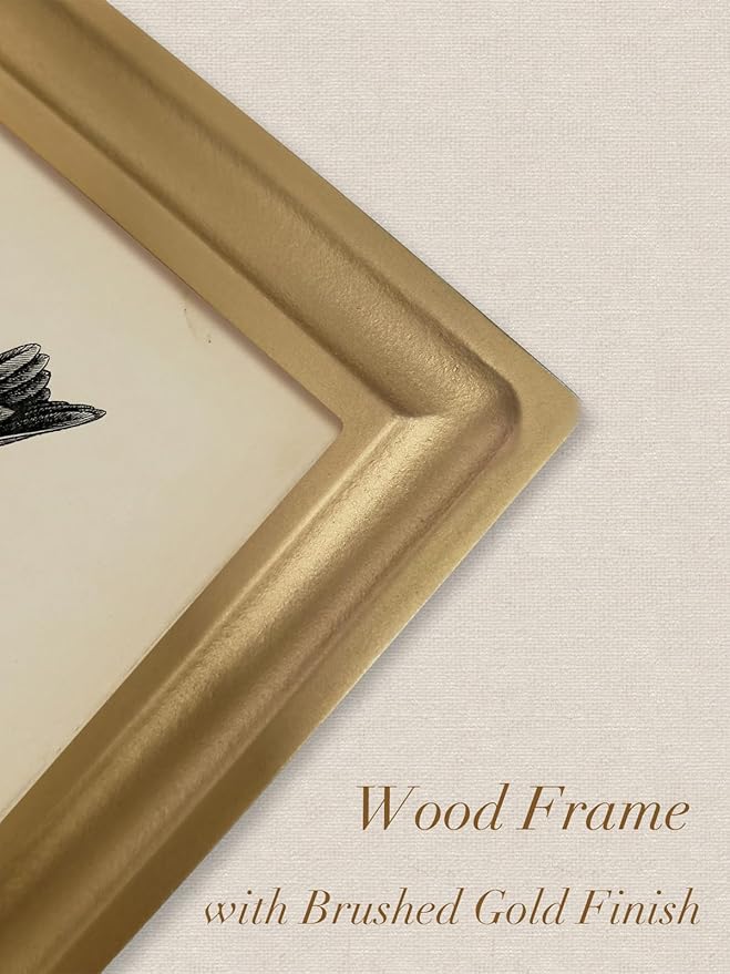 TwoDays Gold Vintage Hummingbird Arched Wood Framed Wall Art – Nature Bird Canvas Picture for Home Aesthetic Wall Decor, Cottagecore Farmhouse Artwork Prints for Living Room, Bedroom (11" x 13.8")
