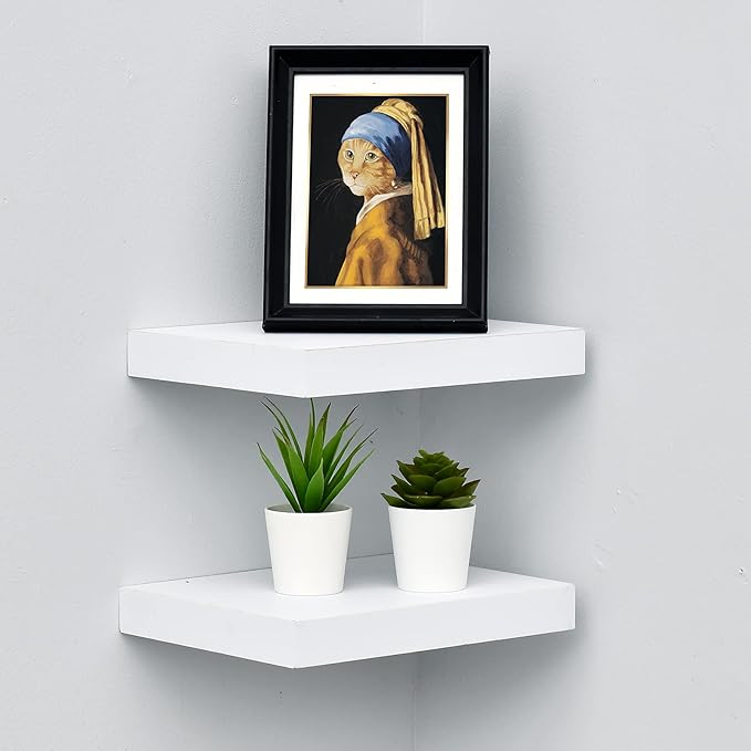 WELLAND Set of 2 Floating Shelves Wall Mounted Shelf, for Home Decor with 8" Deep (White, 10 inch)