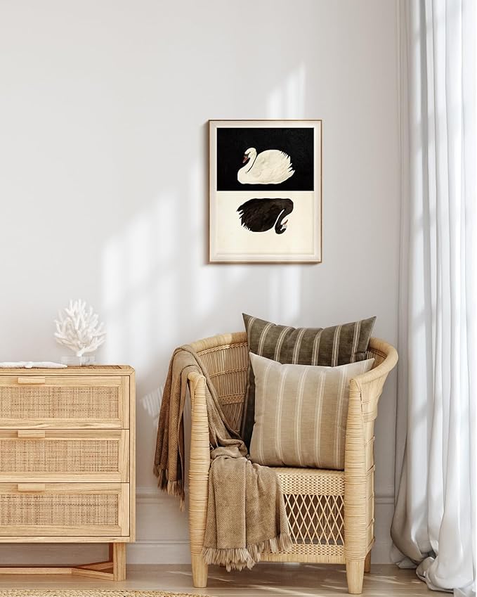 VIYYIEA Framed Wall Art for Living Room, Swan Canvas Prints, Vintage Home Decor, Animals Painting Picture, Bathroom Wall Decor Gifts for Friends or Family - 20L x 16W