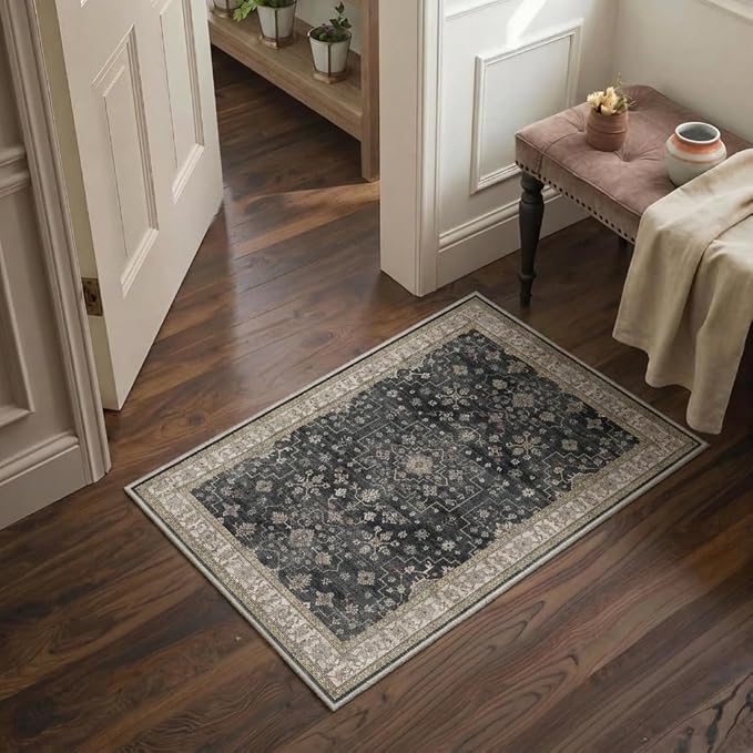 GENIMO Area Rug 2x3 Doormat, Machine Washable Low Pile Rugs, Small Retro Chenille Entryway Mat for Entrance, Hallway, Kitchen and Corridor, Sandy Charcoal