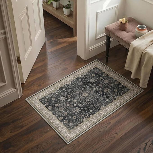 GENIMO Area Rug 2x3 Doormat, Machine Washable Low Pile Rugs, Small Retro Chenille Entryway Mat for Entrance, Hallway, Kitchen and Corridor, Sandy Charcoal