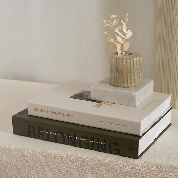 Beautiful Decorative Books - Set of 2 Boxes Enhance Your Coffee Table, Bookshelf or Mantel Shelf Decor - Aesthetic Fake/Faux Books for Modern Home Decoration, Photo Storage and as a Keepsake Box