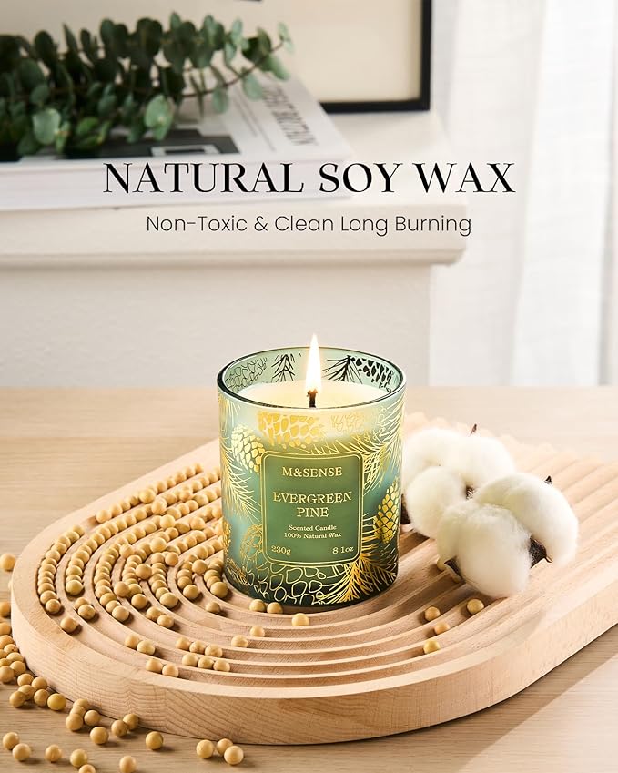 M&SENSE Eucalyptus Scented Vegan Soy Candles, No Toxin Calming Aromatherapy, 8.1oz 42-Hour Slow Burning, Relaxing Bathtub & Wellness Home Fragrance, Housewarming Gifts for Adults