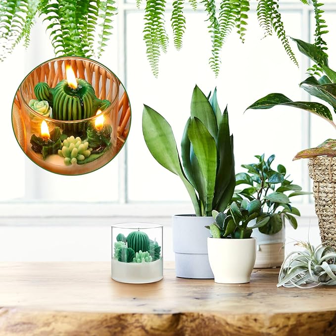 Tondiamo Succulent Cactus Candles Gift,3.15 Inch Scented Decorative Terrarium Plant Candles Votive for House Warming Wedding Baby Shower Spa Home Decoration Teacher Appreciation Mothers Gifts