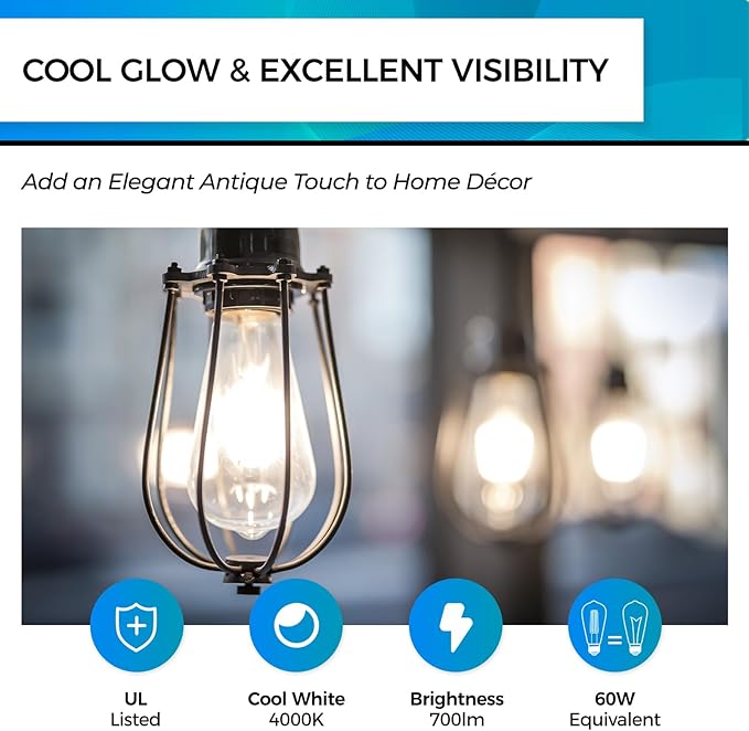 Hizashi E26 Edison Bulb 60 Watt LED, 4000K Dimmable Light Bulbs, ST19 Vintage Light Bulbs Cool White, 95+CRI, UL Listed,700 Lumens 6W E26 Medium Base, Clear Glass, Pack of 3