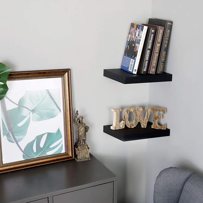 WELLAND Set of 2 Floating Shelves Wall Mounted Shelf, for Home Decor with 8" Deep (Black, 10 inch)