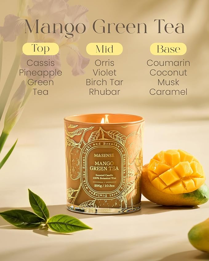 M&SENSE Mango Green Tea Scented Candle, Soy Wax Candle Non-Toxic Clean Burn, Fresh Clean Fruit Aroma, 55 Hours Long Burning 10.3oz, Home Fragrance Home Decor Gifts for Women