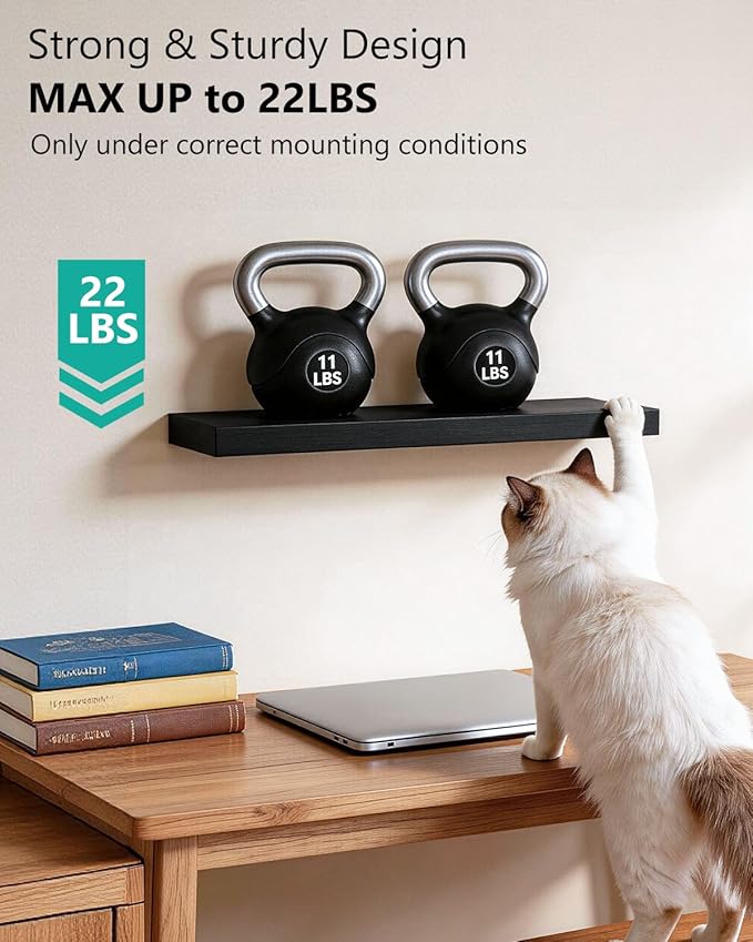 WALI Floating Shelves for Wall, 2 Tier Bathroom Storage Shelf Over Toilet, for Bedroom Bookshelf, Living Room Decor, Kitchen, Nursery, Laundry, Soundbar Floating Shelf Mount Under TV (CS102L), Black