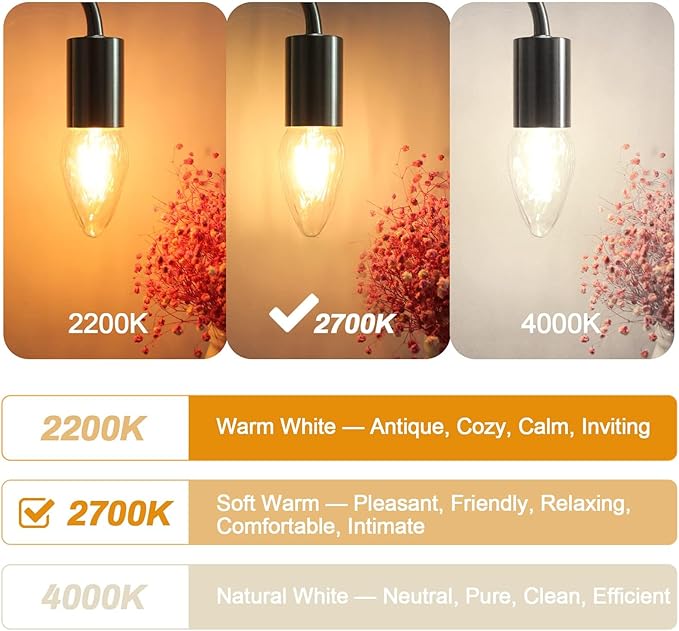 BRIMAX F15 4W LED Porch Light Bulbs Outdoor,Equivalent 40W Incandescent Bulb,E26 Medium Base Dimmable 2700K Warm White Flame Wrinkle Glass, Post Bulbs for Ceiling Fan and Lantern Lamp, 4Pack