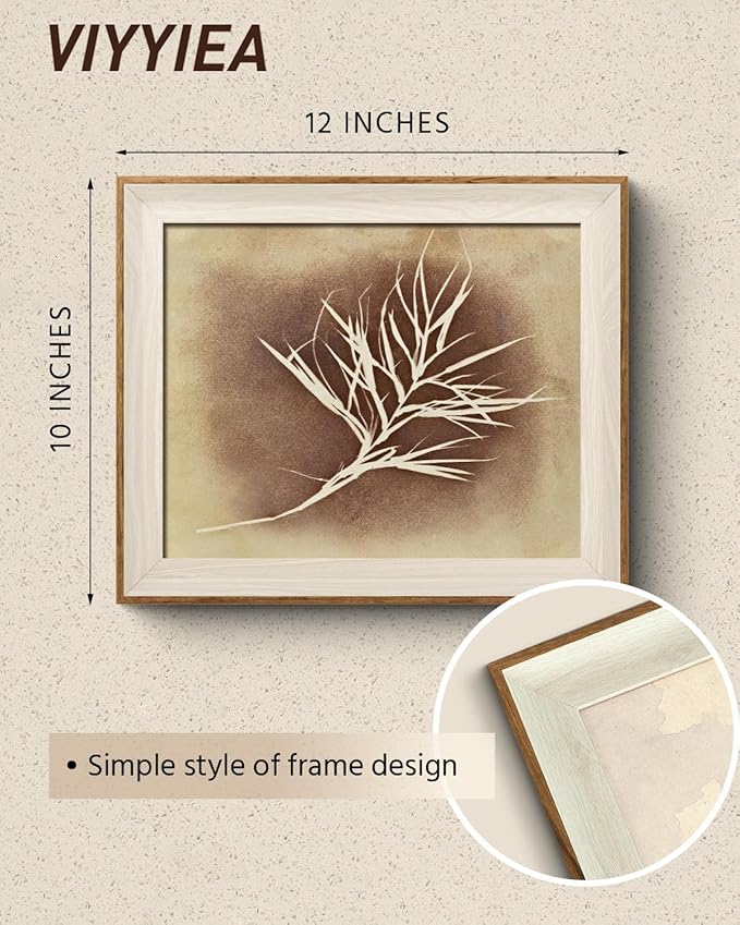 VIYYIEA Framed Wall Art for Living Room, Herbarium Canvas Prints, Vintage Home Decor, Flowers Painting Picture, Bathroom Wall Decor Gifts for Friends or Family -【Herbarium】-(12L x 10W)