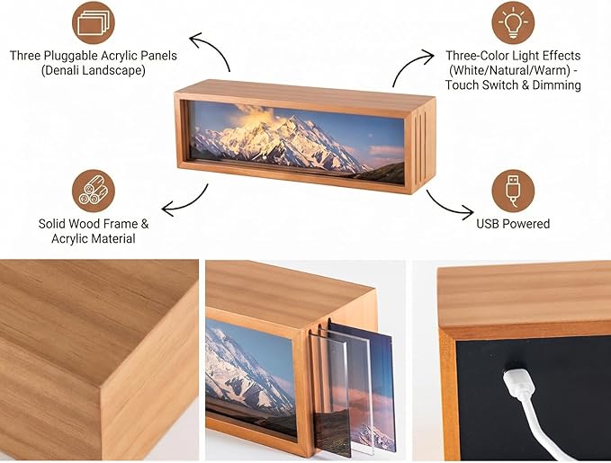 Snowy Mount Denali Led Light Box 3 Layers of Acrylic Light Box - Handmade Table Lamp for Room Decor - National Park Travel Signs Travel Gift