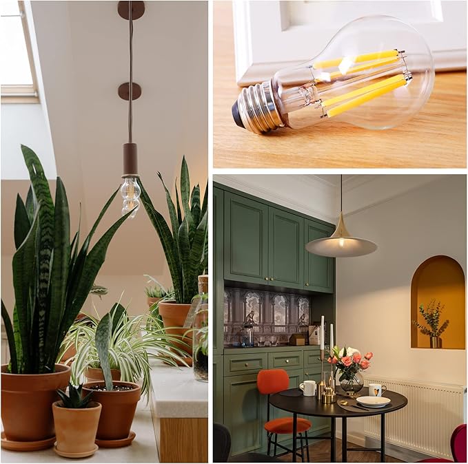 Energetic Dimmable A19 LED Edison Light Bulb, 12W Equivalent 100W, 1600LM High Brightness, 2700K Soft White, Clear Antique LED Filament Bulb for Home, Bathroom, E26 Standard Base, 6-Pack
