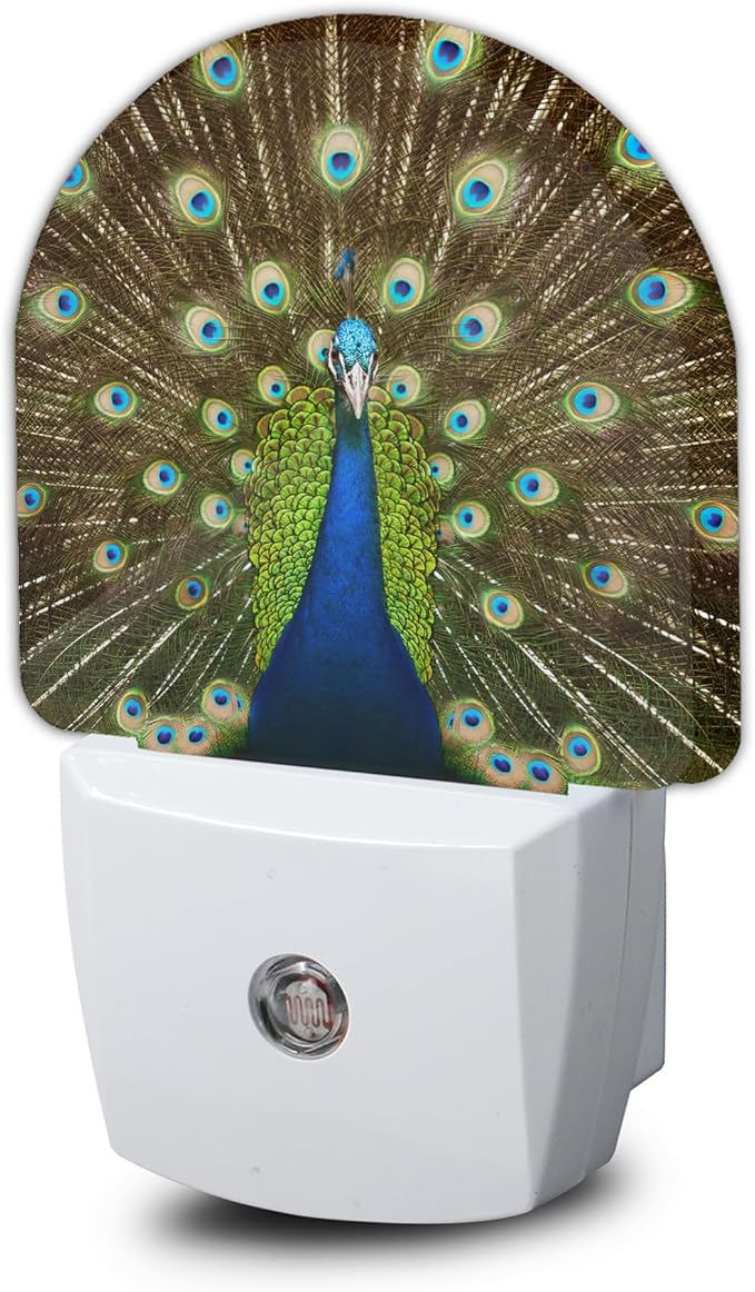 The Peacock Opens Night Light, Night Lights Plug Into Wall Home Indoor Stairway Kitchen Corridor,Boys Girls Women Men Room Gifts