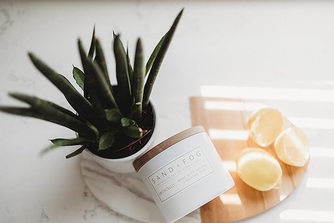 Sand + Fog Scented Candles - Orange & Clove - Additional Scents and Sizes - 3 Wicks 100% Cotton Lead-Free - Luxury Air Freshening Jar Candles - Perfect Home Decor - 21 oz