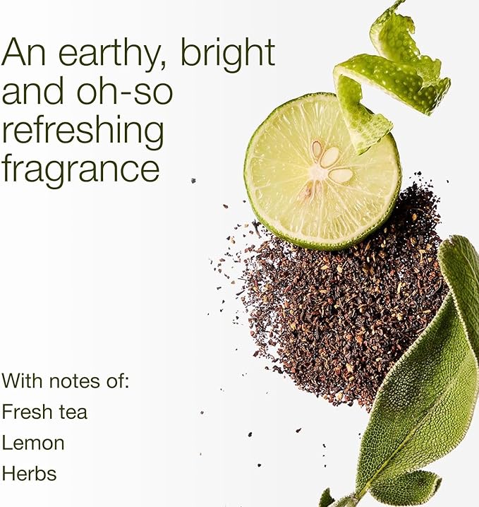 Bath & Body Works White Tea & Sage 3-Wick Candle - Scented Candle for At-Home Use - Long-Lasting, Room-Filling Fragrance - High Fragrance Oil Concentration - Soy Wax Blend