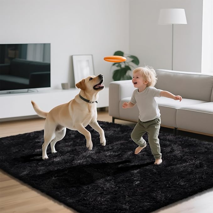 Shag Area Rugs for Bedroom Living Room,4X6 Ultra Soft Fluffy Area Rugs for Dorm, Indoor Carpet Nursery Rugs for Kids Room Home Decor,Black