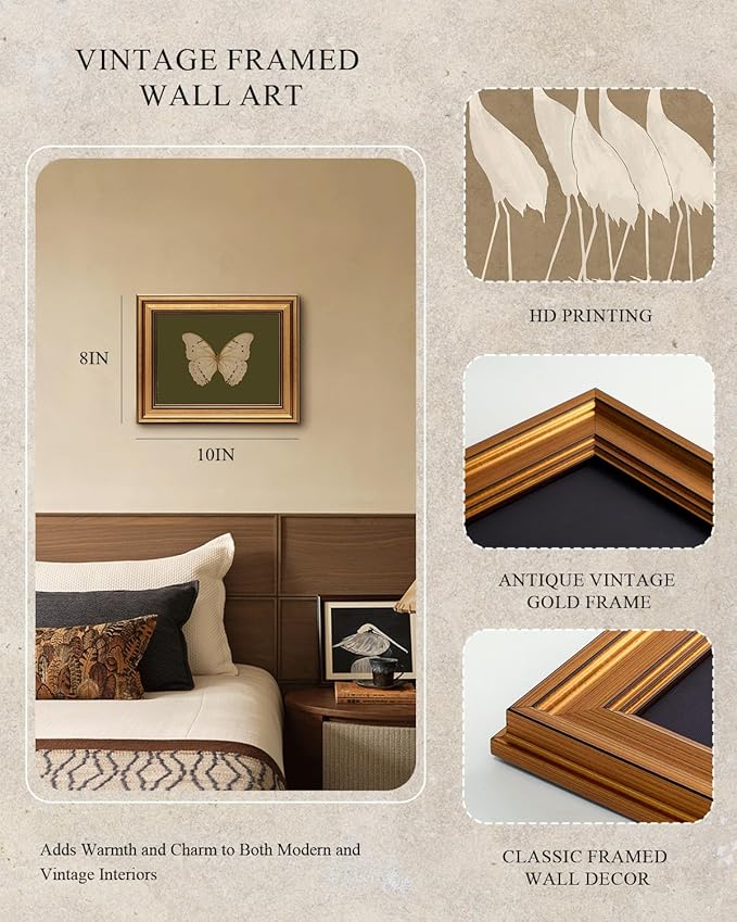 InSimSea Gold Framed Canvas Wall Art, Vintage Butterfly Wall Decor for Living Room, Moody Paintings Farmhouse Decor, Small Minimalist Prints for Bedroom Bathroom Shelf Gift, 8x10inch
