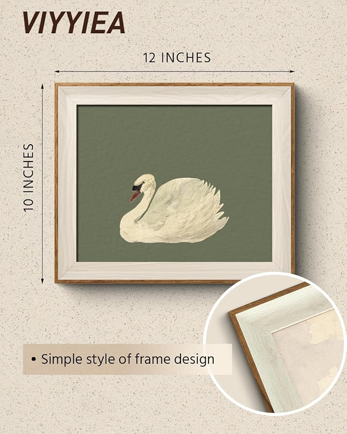VIYYIEA Framed Wall Art for Living Room, Swan Canvas Prints, Green Home Decor, Animals Painting Picture, Bathroom Wall Decor Gifts for Friends or Family -【Swan Green】-(12L x 10W)