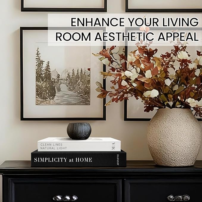 Modern Decorative Books for Home Coffee Table Decor - Fake Books Storage Box for Decoration - Set of 2 Faux Book Photo Storage Keepsake Box for Room Bookshelf Decor, Black