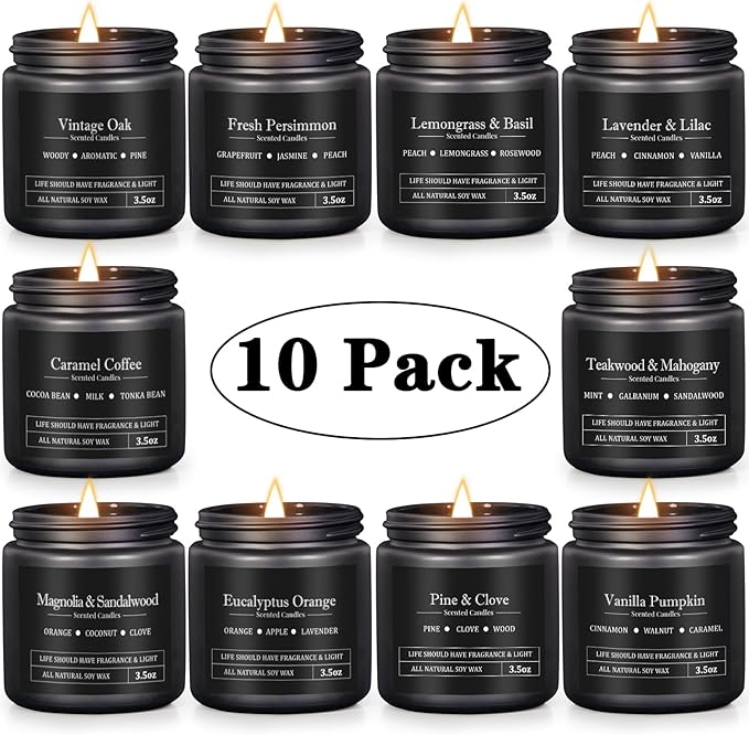 10 Pack Scented Candles for Men, Masculine Candle Gift Set with Woody & Fresh Scents, Soy Wax Aromatherapy Candles for Home, Gifts for Him, Boyfriend, Father's Day