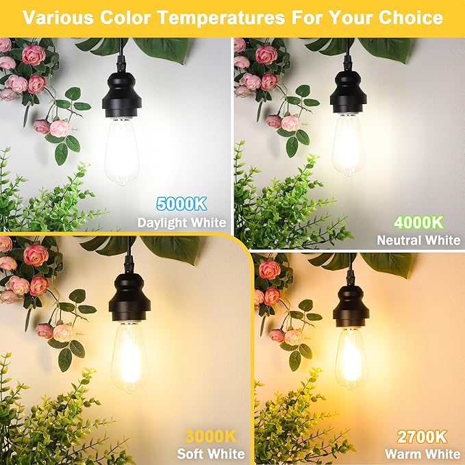 ASOMST 4-Pack Vintage Edison Bulbs 60W Equivalent, 850LM 6W LED Light Bulb Soft White 3000K, ST58 Filament Lighting E26 Base, Non-Dimmable