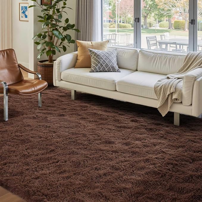 FinRèc Dark Brown Rugs for Bedroom Living Room, 4x6 Feet Fluffy Shaggy Area Rug, Non-Slip Soft Shag Rug for Nursery Kids Room Dorm Room Home Decor, Indoor Plush Floor Carpet